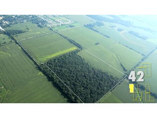 Property photo 157 - Land Auction - 3,379 Acres in 48 Tracts, 2,900 Acres Tillable, Large Contiguous Tracts - Investment Potential